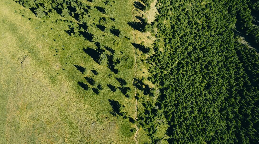 Photo Carbon footprint