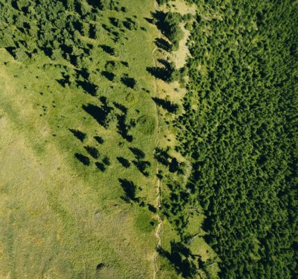 Photo Carbon footprint