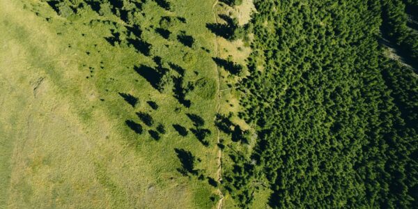 Photo Carbon footprint