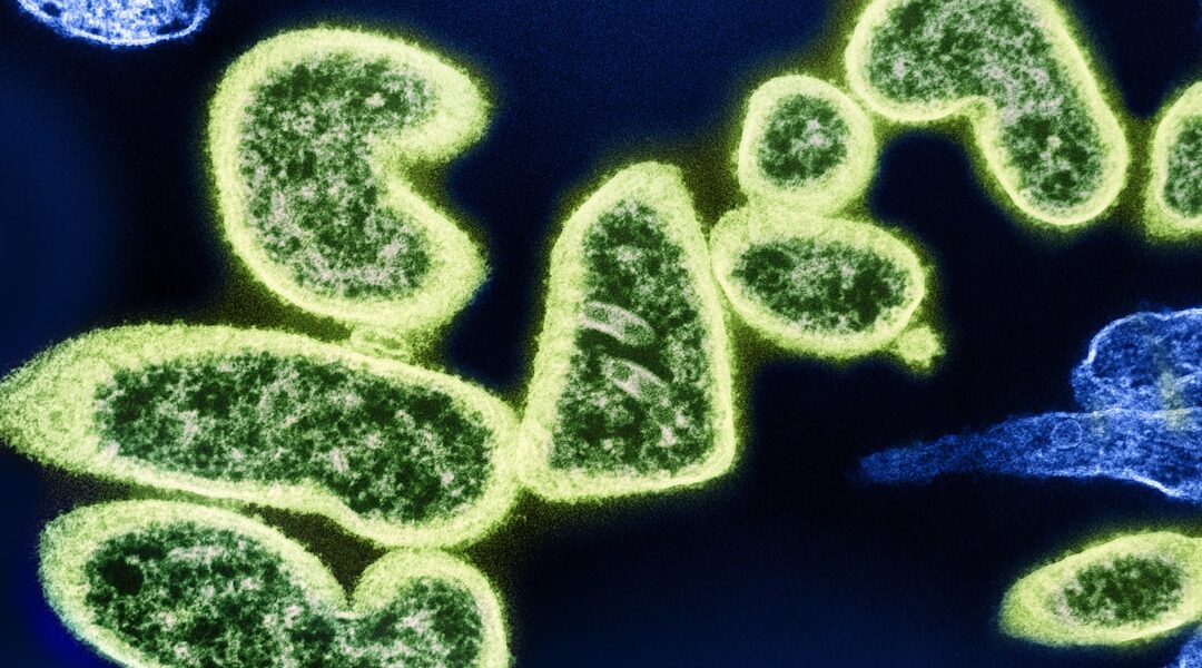 Photo pandemia nowych patogenów