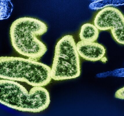 Photo pandemia nowych patogenów