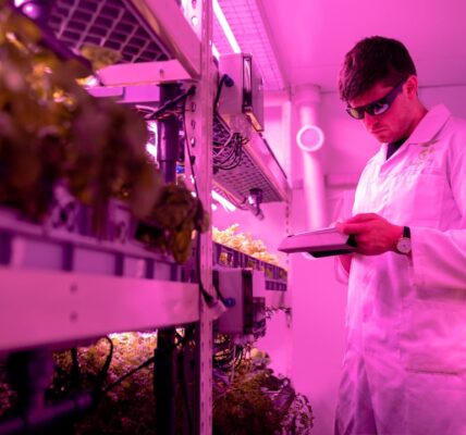 Photo vertical farming revolution