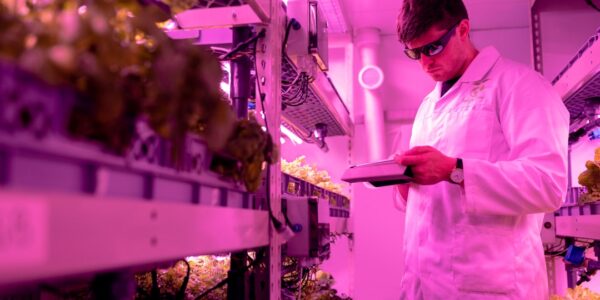 Photo vertical farming revolution